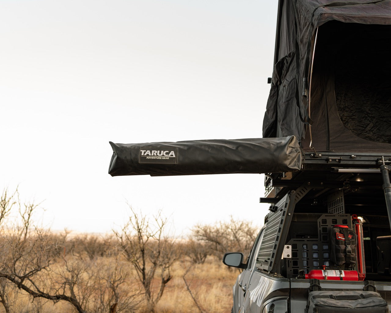 Taruca Rogue Ensuite Shower